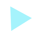 Polygon 69