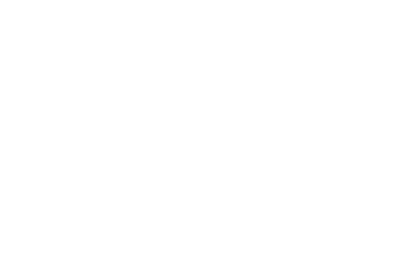 companyon-1