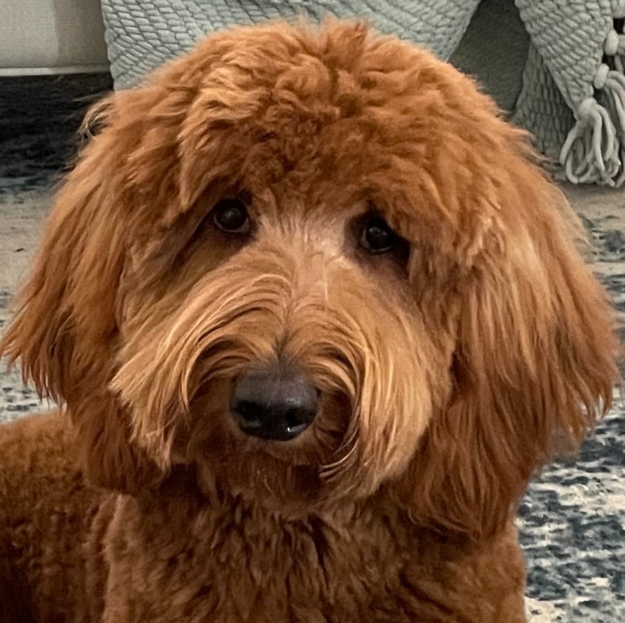 Ruby