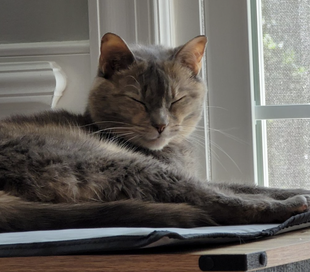 Vanya