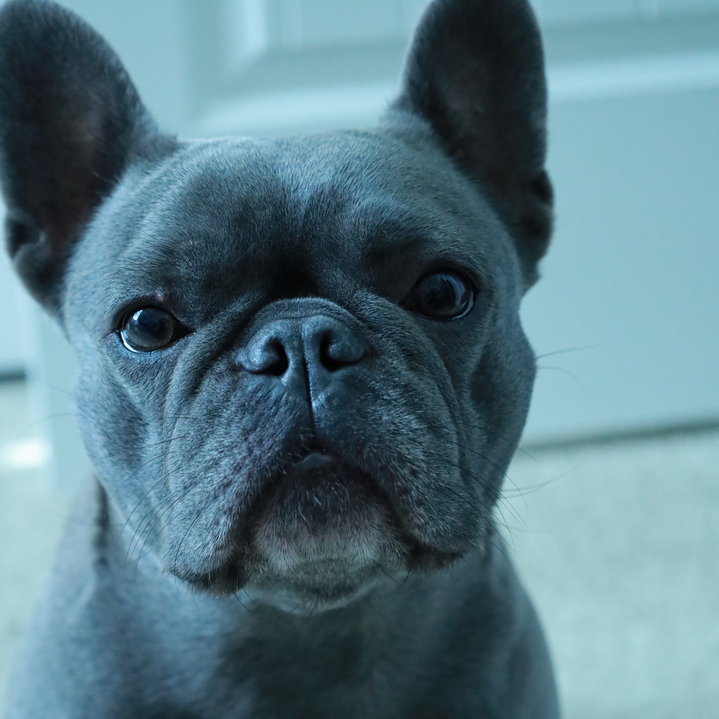 Luna